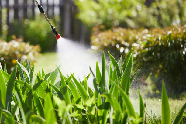 24/7 Emergency Wasp Removal experts in Central Garage, VA