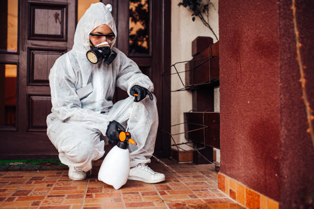 Reliable Wasp Removal contractor in Central Garage, VA by Show Me Pest Control