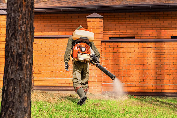 Top rated local Wasp Removal specialists in Central Garage, VA